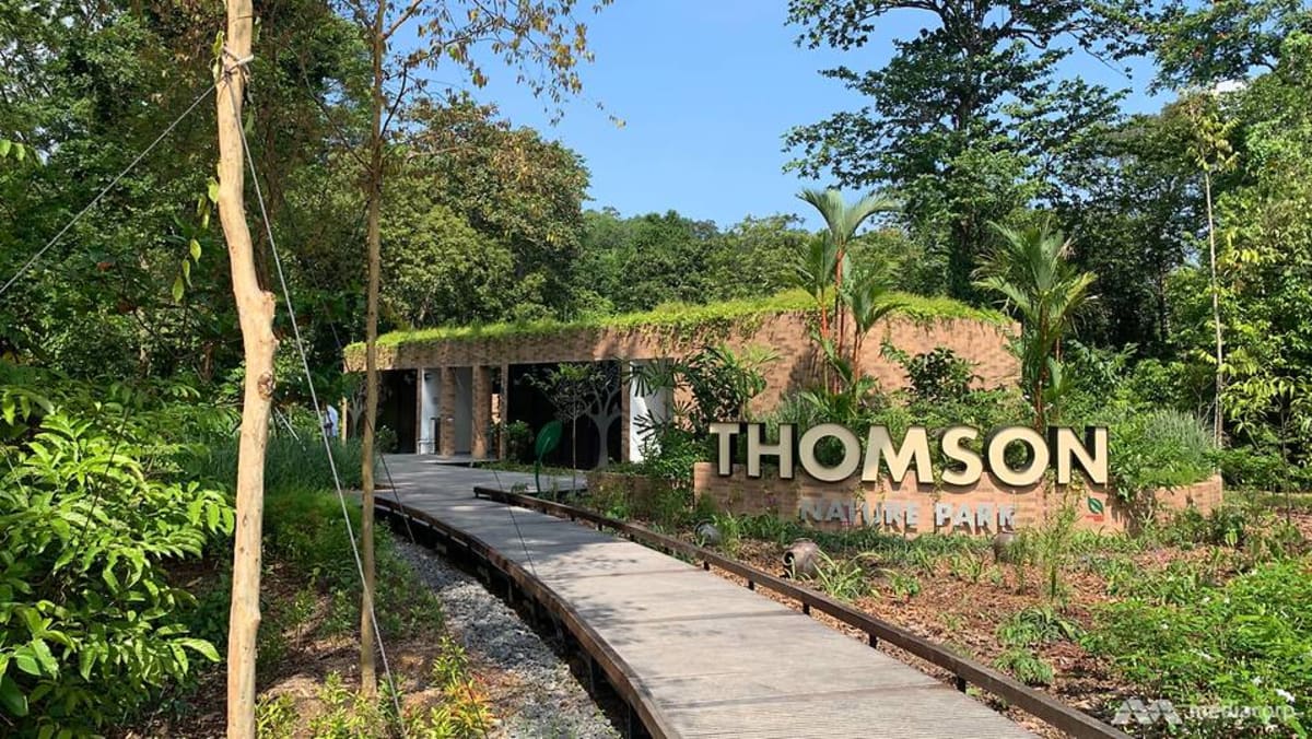 Upper Thomson Condos set to benefit from North-South Corridor (NSC)