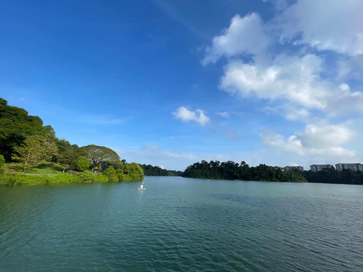 Why MacRitchie Reservoir Enhances the Appeal of JadeScape and Upcoming Thomson View